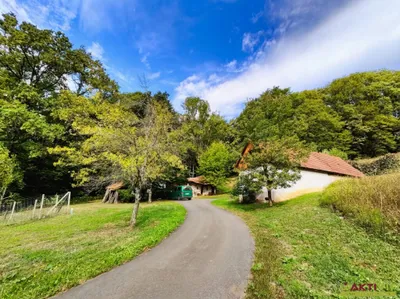 Grundstück kaufen in Südoststeiermark – 32 724 m², € 298.000 – Bild 8 von 15