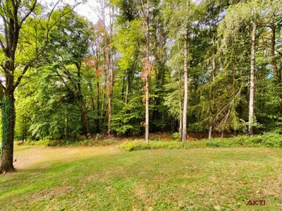 Grundstück kaufen in Südoststeiermark – 32 724 m², € 298.000 – Bild 15 von 15