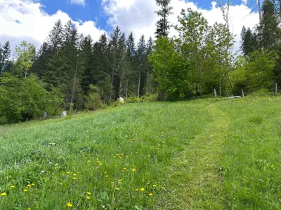 Grundstück kaufen in Hallein – 4 232 m², € 115.000 – Bild 3 von 9