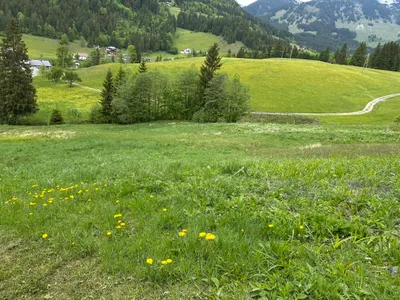 Grundstück kaufen in Hallein – 4 232 m², € 115.000 – Bild 7 von 9