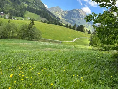 Grundstück kaufen in Hallein – 4 232 m², € 115.000 – Bild 4 von 9