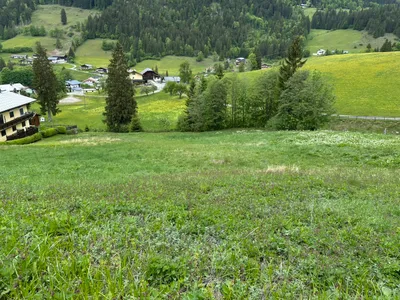 Grundstück kaufen in Hallein – 4 232 m², € 115.000 – Bild 6 von 9