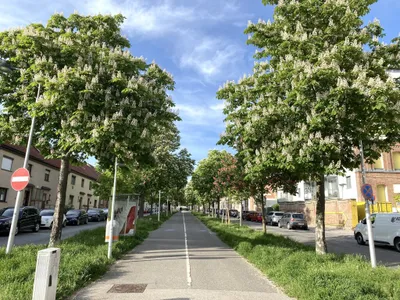 3-Zimmer-Wohnung kaufen in Wien – 87,09 m², € 650.000 – Bild 13 von 15