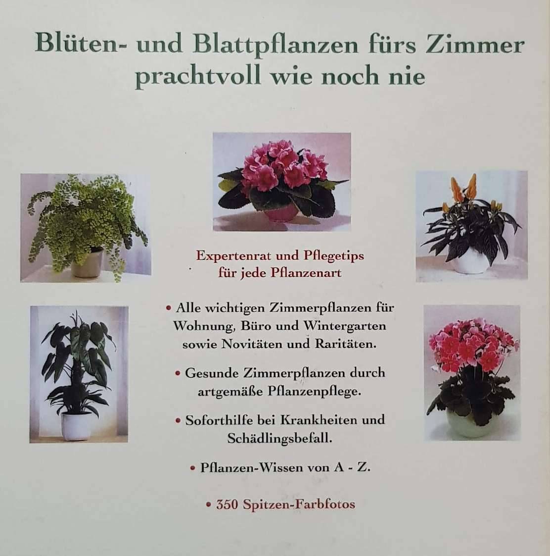Zimmer Pflanzen,  4,- (6900 Bregenz) - willhaben