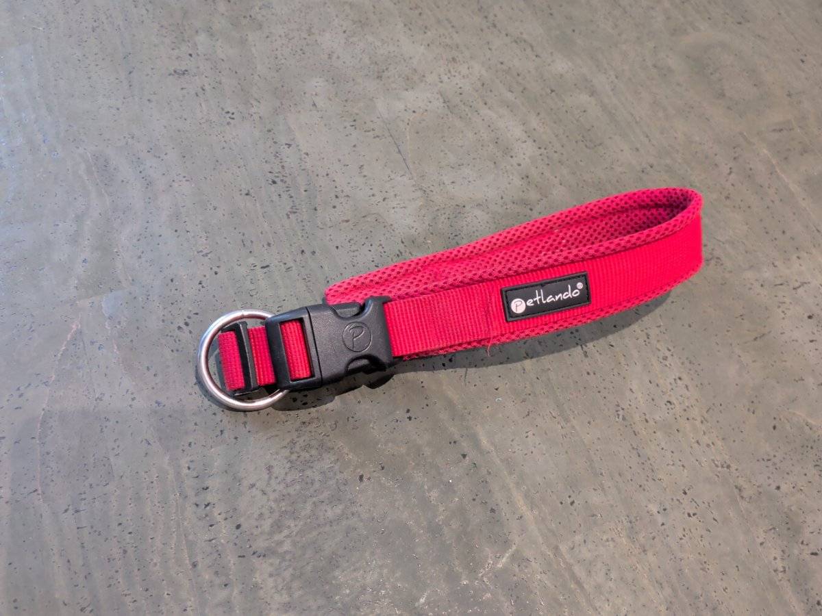 hundeleine Dog Leash Tiergarten Peach main image 1