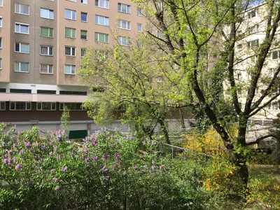 3-Zimmer-Wohnung kaufen in Wien – 74 m², € 325.000 – Bild 2 von 15
