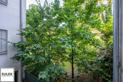 4-Zimmer-Wohnung mieten in Wien – 109 m², € 2.599 – Bild 18 von 26