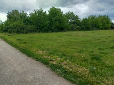 Grundstück zum Kauf in 2491 Wiener Neustadt Land