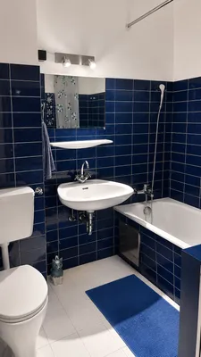 1-Zimmer-Wohnung mieten in Salzburg Stadt – 32 m², € 750 – Bild 6 von 9