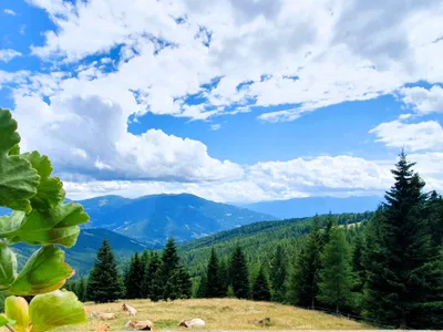 Grundstück kaufen in Spittal an der Drau – 546 m², € 225.000 – Bild 9 von 16