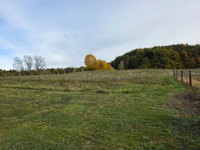 Grundstück kaufen in Weiz – 962 m², € 65.000 – Bild 7 von 12