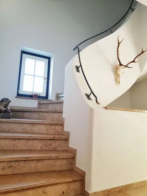 4-Zimmer-Wohnung kaufen in Salzburg-Umgebung – 65 m², € 299.000 – Bild 3 von 14