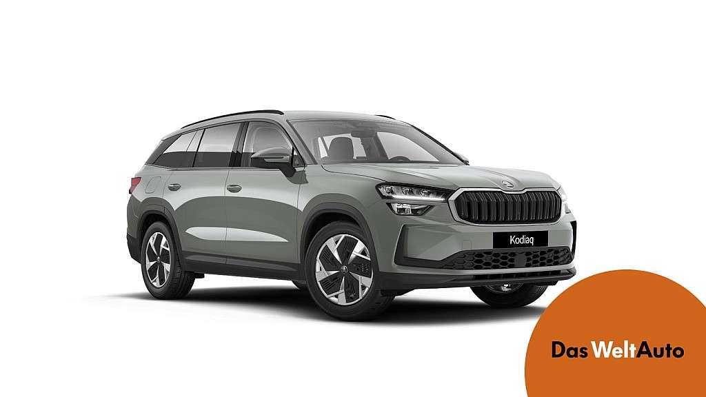 Skoda Kodiaq 4x4 Selection TDI DSG SUV / Geländewagen