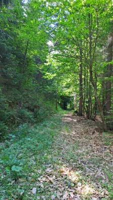 Grundstück kaufen in Deutschlandsberg – 12 343 m², € 4 – Bild 2 von 16