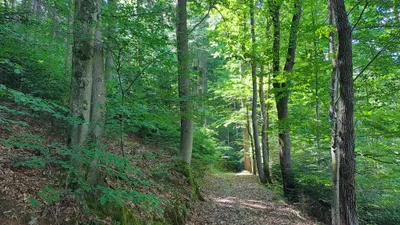 Grundstück kaufen in Deutschlandsberg – 12 343 m², € 4 – Bild 4 von 16