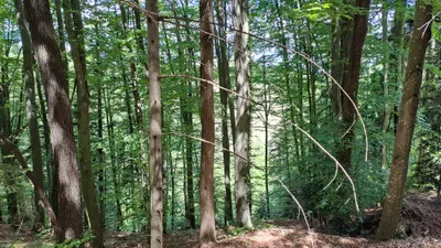 Grundstück kaufen in Deutschlandsberg – 12 343 m², € 4 – Bild 15 von 16