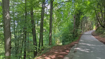 Grundstück kaufen in Deutschlandsberg – 12 343 m², € 4