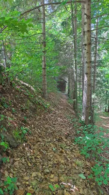 Grundstück kaufen in Deutschlandsberg – 12 343 m², € 4 – Bild 10 von 16