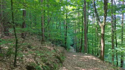 Grundstück kaufen in Deutschlandsberg – 12 343 m², € 4 – Bild 3 von 16
