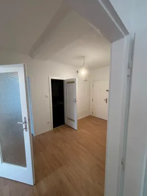 Frisch sanierte 2-Zimmer-Wohnung mit 62 m² in 1230 Wien - ab sofort verfügbar – Bild 3