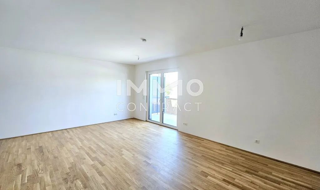Wohnung – Wiener Neustadt - Ansicht 2