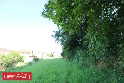 Grundstück kaufen in Freistadt – 3 689 m², € 210.000 – Bild 4 von 7