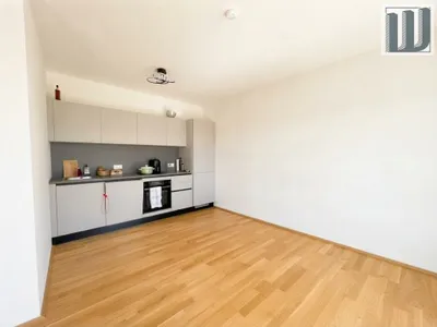 1-Zimmer-Wohnung mieten in Wiener Neustadt – 35 m², € 700 – Bild 13 von 22