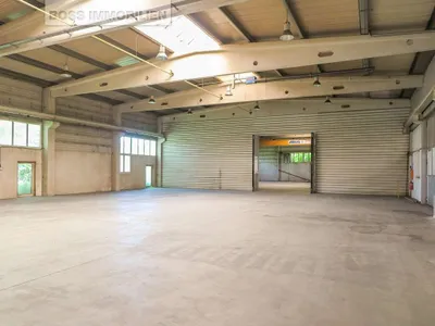 Gewerbeimmobilie mieten in Linz Land – 3 250 m² – Bild 3 von 10