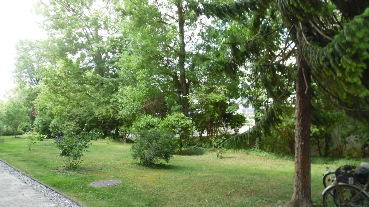 Wohnung – Wiener Neustadt - Ansicht 2
