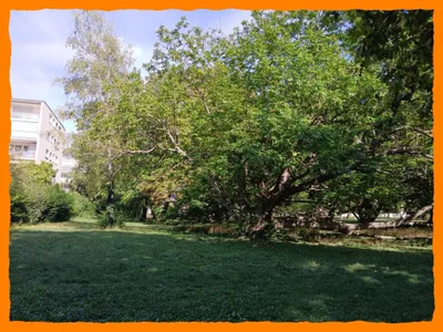 3-Zimmer-Wohnung kaufen in Baden – 95 m², € 269.000 – Bild 8 von 16