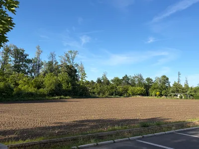 Immobilie kaufen in Südoststeiermark – 1 860 m², € 248.000 – Bild 3 von 3