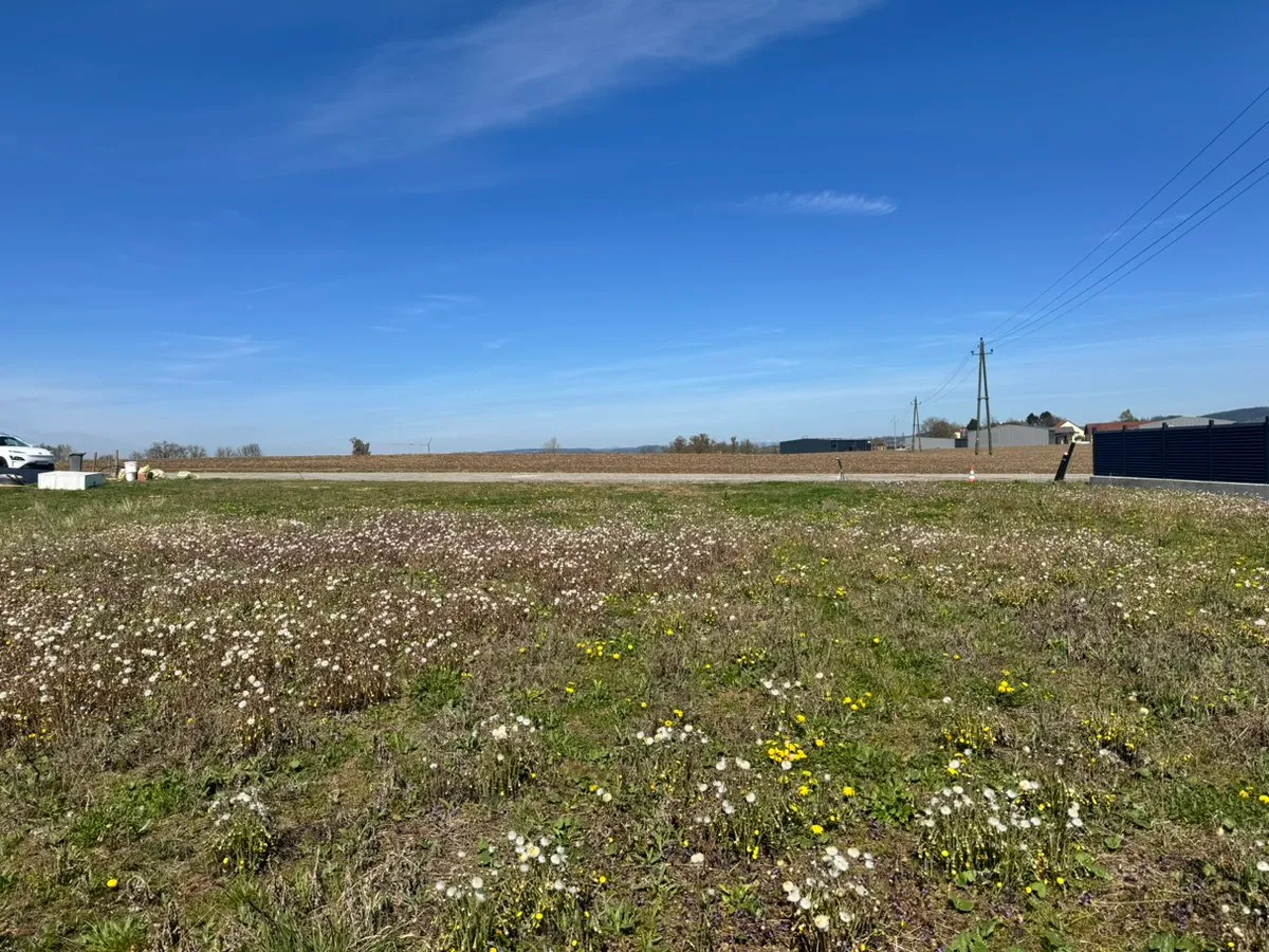 Sonniges Baugrundstück in Suben - 1.000 m² ohne Bauzwang!