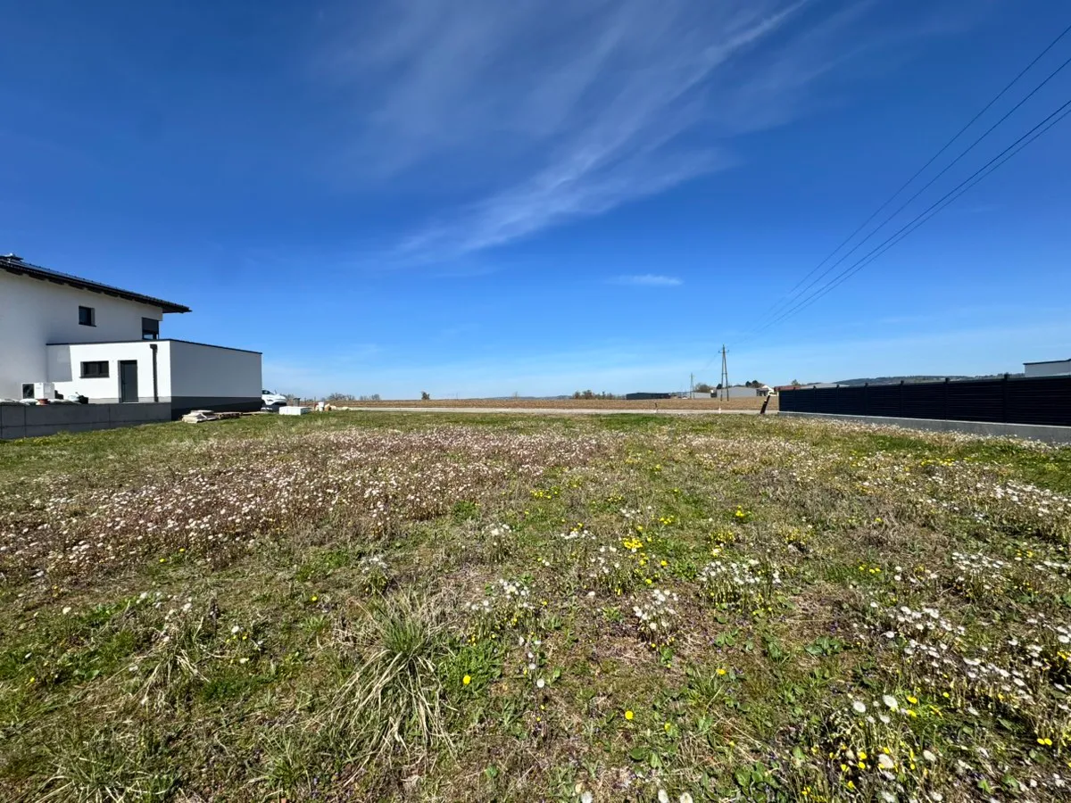 Sonniges Baugrundstück in Suben - 1.000 m² ohne Bauzwang! - Ansicht 2