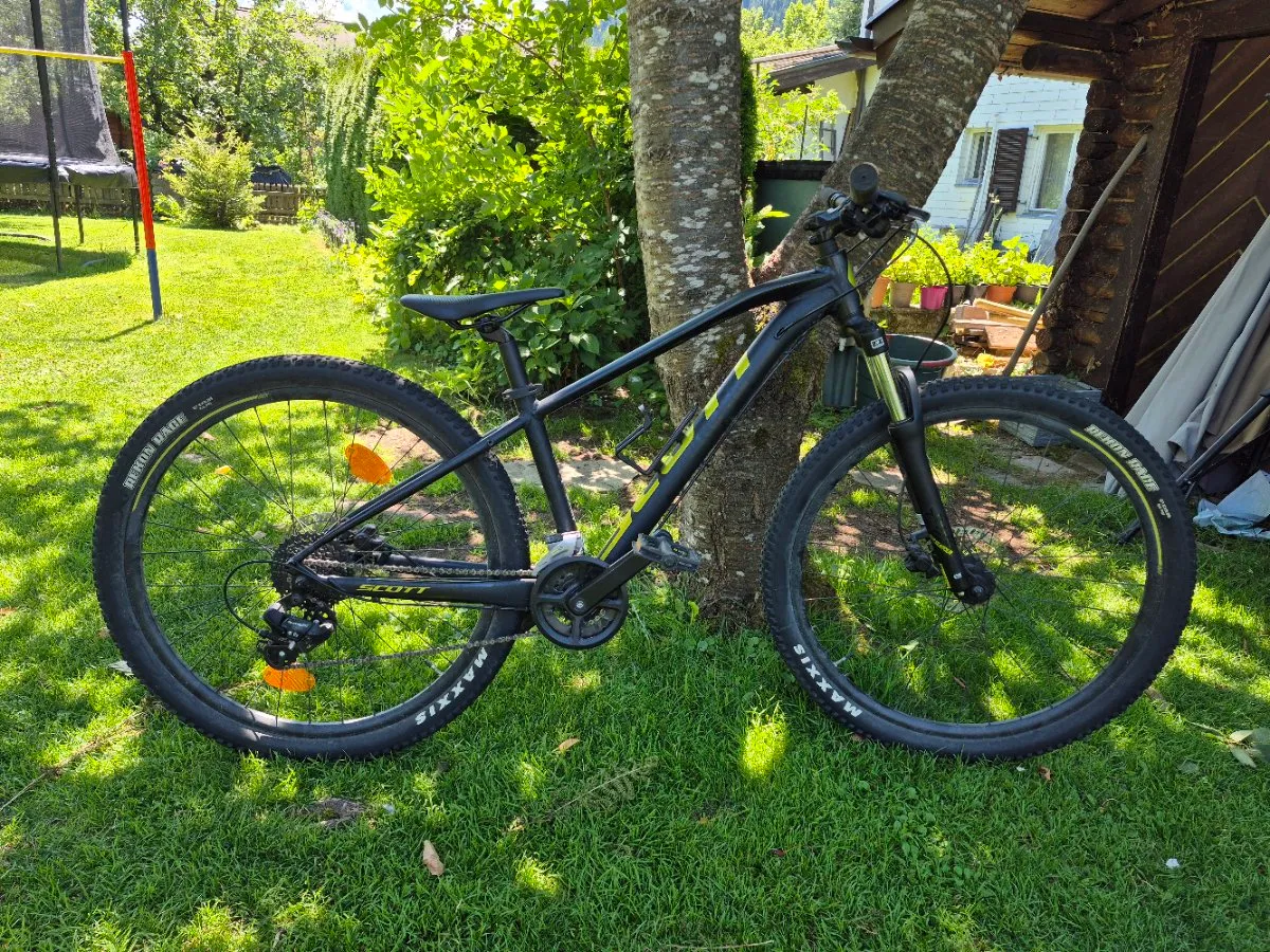 rennrad kassette 11-36 Sunrace RZ800 12-Gang-Rennrad-Kassette 11-36T, Schwarz, SR3023 Sport & Freizeit Thule Yepp Nexxt 2 POSTERPROMO Color:Mango