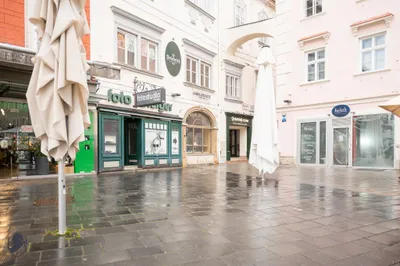 Gewerbeimmobilie kaufen in Wiener Neustadt – 1 714 m² – Bild 2 von 68
