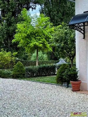 13-Zimmer-Gewerbeimmobilie kaufen in Südoststeiermark – 521 m², € 1.675.000 – Bild 14 von 15