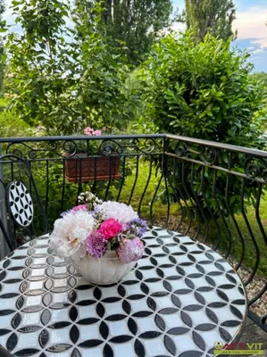 13-Zimmer-Gewerbeimmobilie kaufen in Südoststeiermark – 521 m², € 1.675.000 – Bild 13 von 15