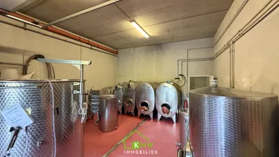 Immobilie kaufen in Krems Land – 335 m², € 760.000 – Bild 4 von 14