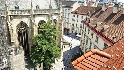Gewerbeimmobilie mieten in Wien – 650 m², € 24 – Bild 4 von 13