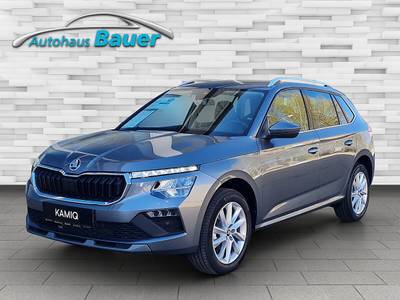 Skoda Kamiq 1,0 TSI Selection DSG