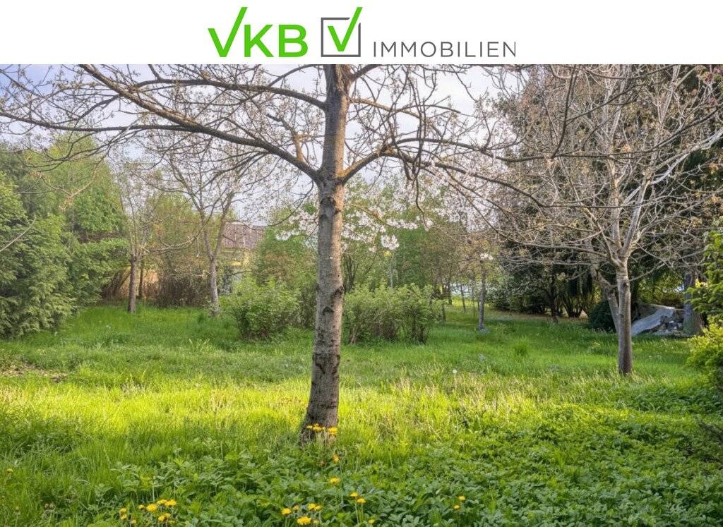Großzügiges Grundstück nähe Gallneukirchen! - Gemeinde Alberndorf in der Riedmark (GST 2443/1) - Ansicht 2