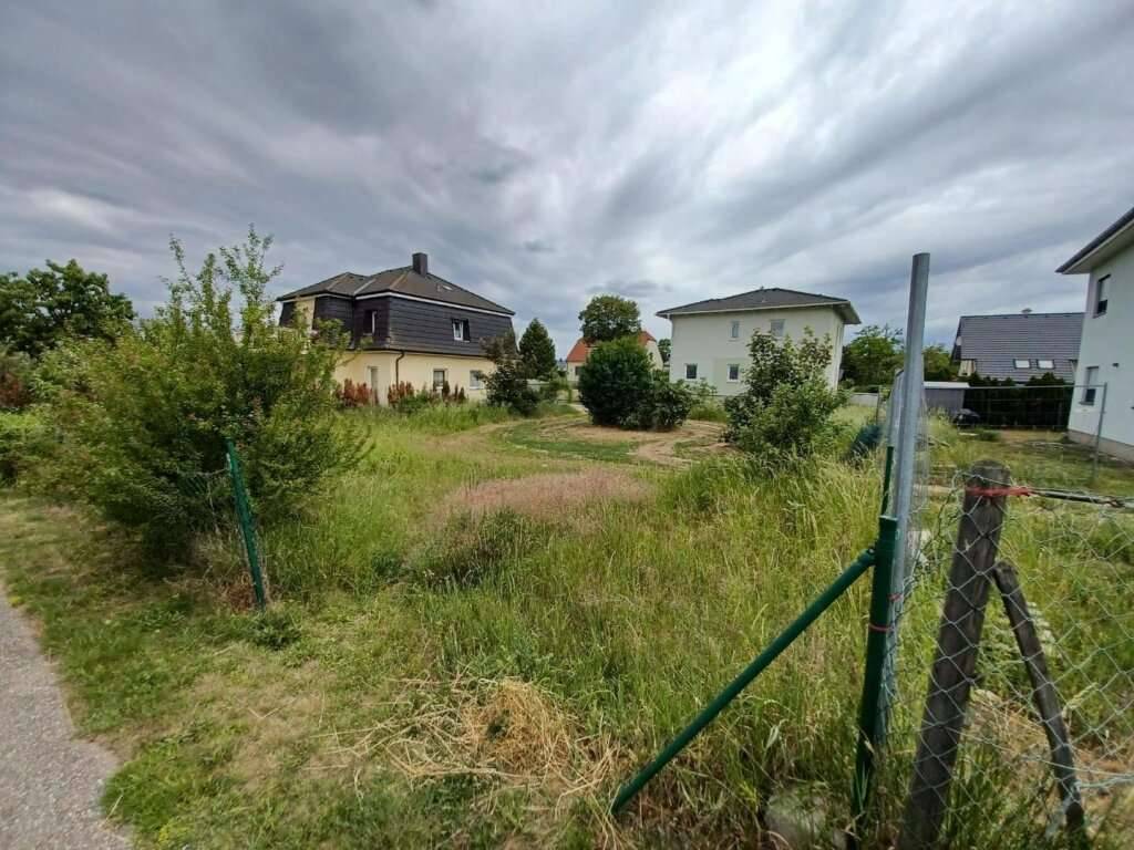 Baugrundstück in Gänserndorf - Ansicht 3