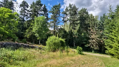 Haus kaufen in Melk – 133 m², € 700.000 – Bild 3 von 7