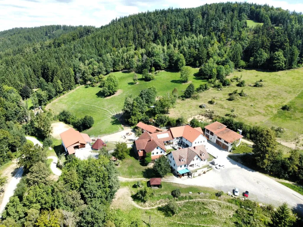 Traumanwesen für Pferdeliebhaber in Alleinlage mit ca. 13 ha - Wanderreiten im Pferdereich Mühlviertler Alm !! - Ansicht 3
