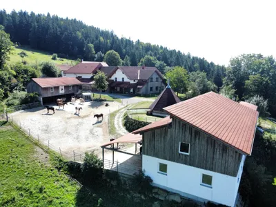 Grundstück kaufen in Perg – 262 m², € 2.990.000 – Bild 5 von 24