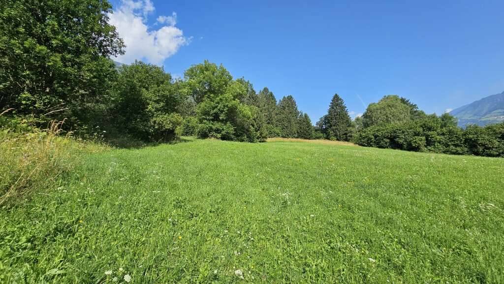 2 Grundstücke in Penk - Wohnen und Landwirtschaft vereinen. Idyllische Lage in Penk. - Ansicht 3