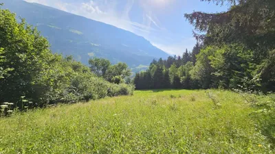 Grundstück kaufen in Spittal an der Drau – 6 369 m², € 89.000 – Bild 5 von 11