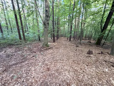 Grundstück kaufen in Graz-Umgebung – 16 017 m², € 52.000 – Bild 2 von 5