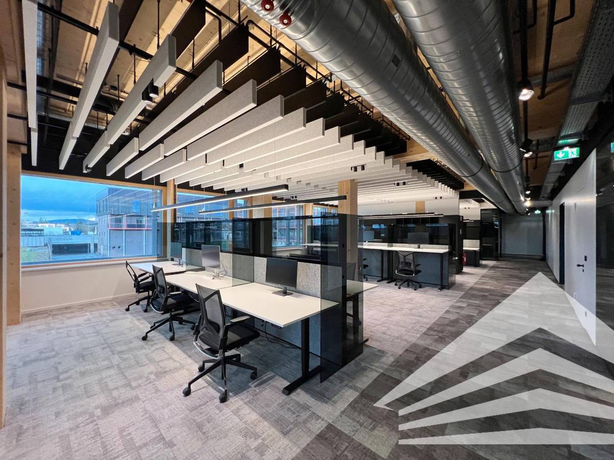OFFICE BASE DER ZUKUNFT - FREE CITY - 750 M² BÜRO - Ansicht 3