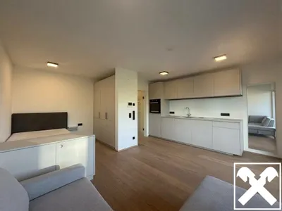 1-Zimmer-Wohnung mieten in Schärding – 33,89 m², € 699 – Bild 2 von 4